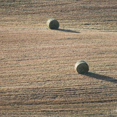 Soleluna San Quirico dʼOrcia Zewnętrze zdjęcie