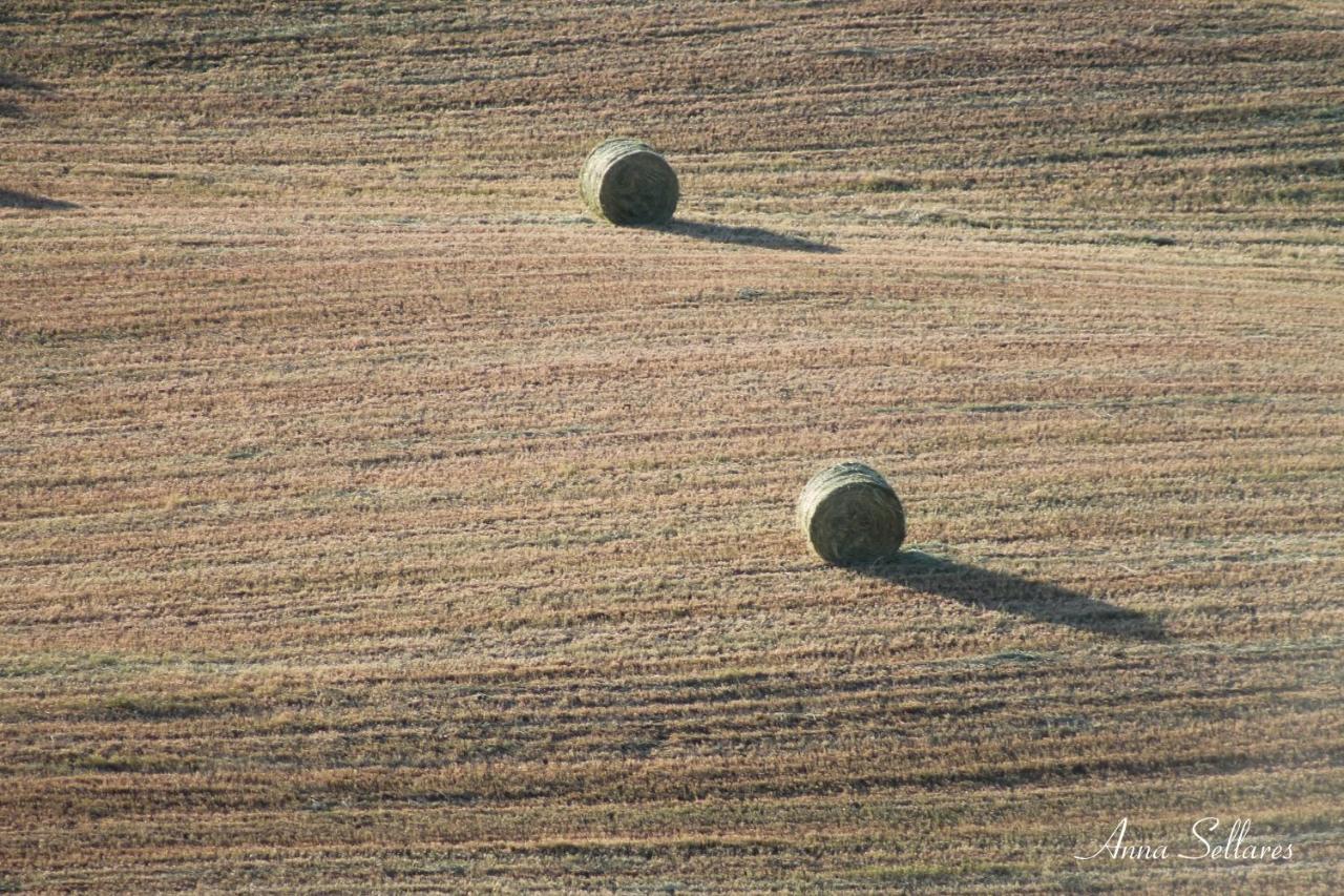 Soleluna San Quirico dʼOrcia Zewnętrze zdjęcie