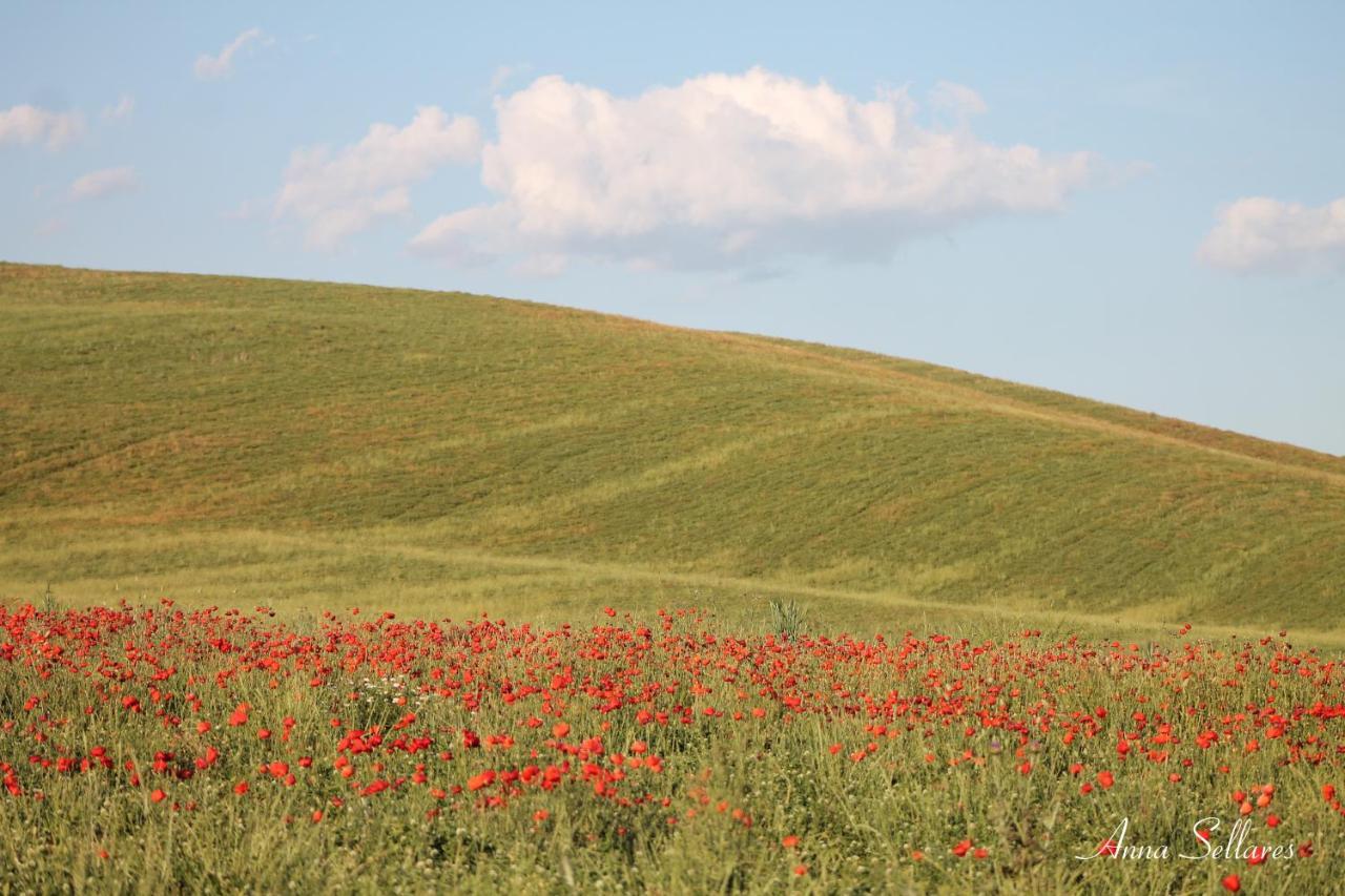 Soleluna San Quirico dʼOrcia Zewnętrze zdjęcie