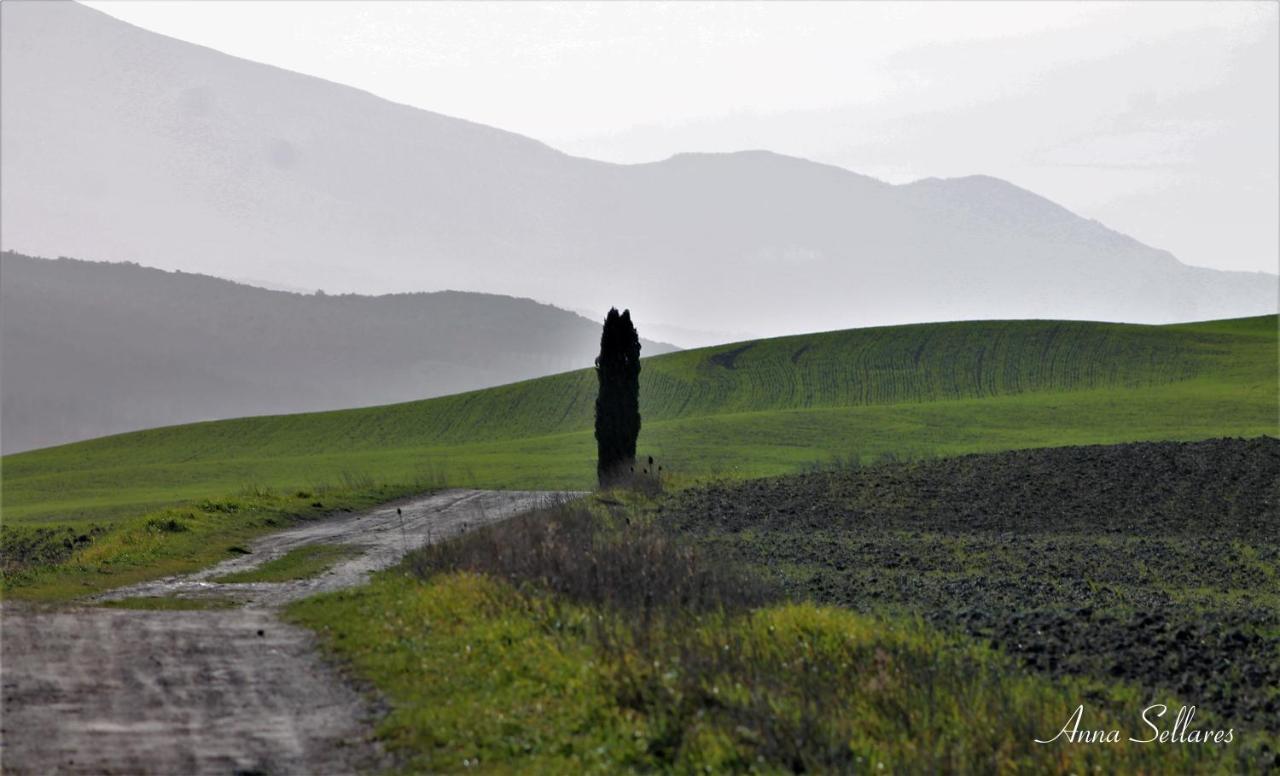 Soleluna San Quirico dʼOrcia Zewnętrze zdjęcie